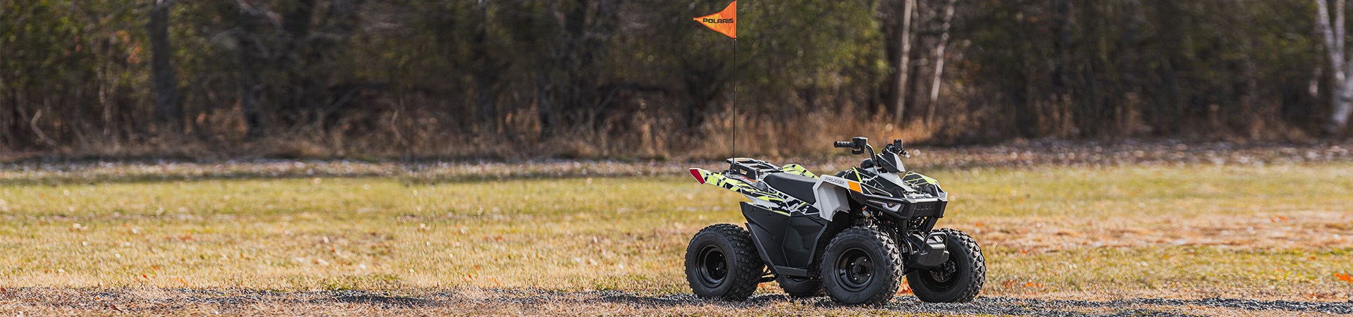 Go to actionps.com (New-Polaris-Youth-ATVs-For-Sale-In-Waukesha-Wisconsin--inventory subpage)